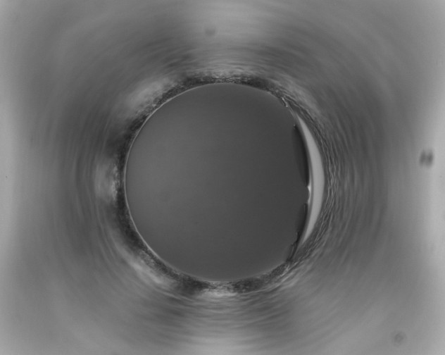 X0000091940644200709121620