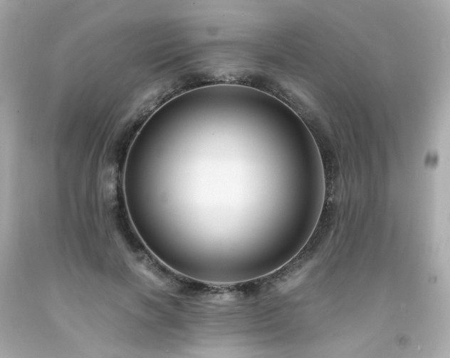 X0000091940646200709121620