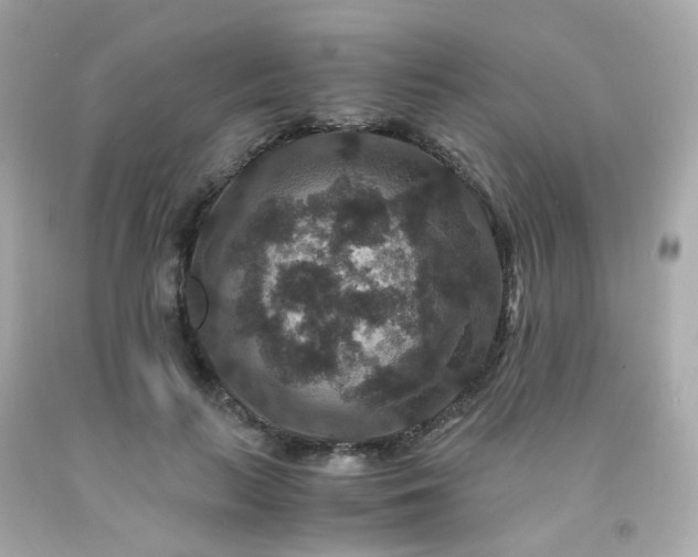 X0000091940647200709121620