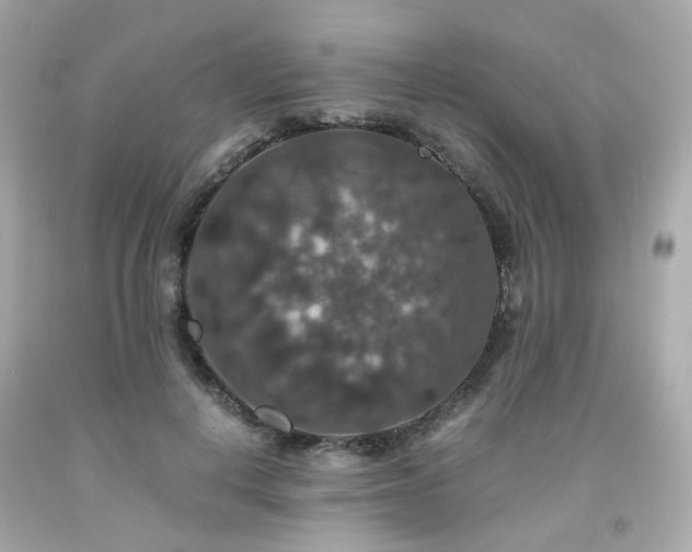 X0000091940648200709121620