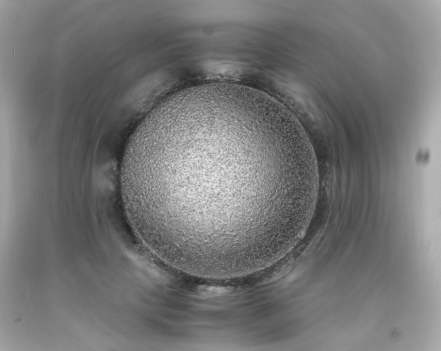 X0000091940649200709121620