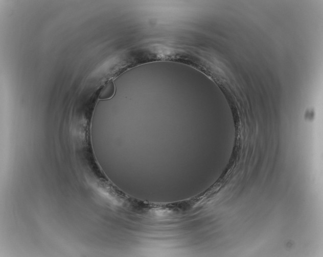 X0000091940650200709121620