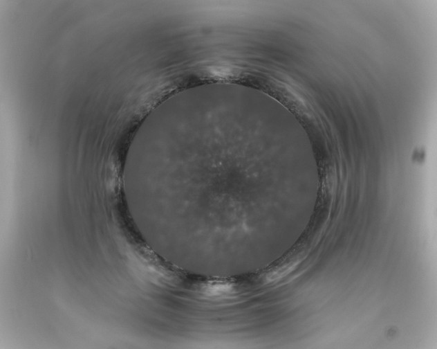 X0000091940651200709121620