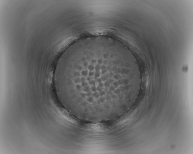 X0000091940652200709121620