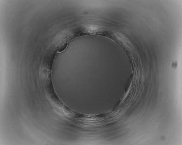 X0000091940653200709121620