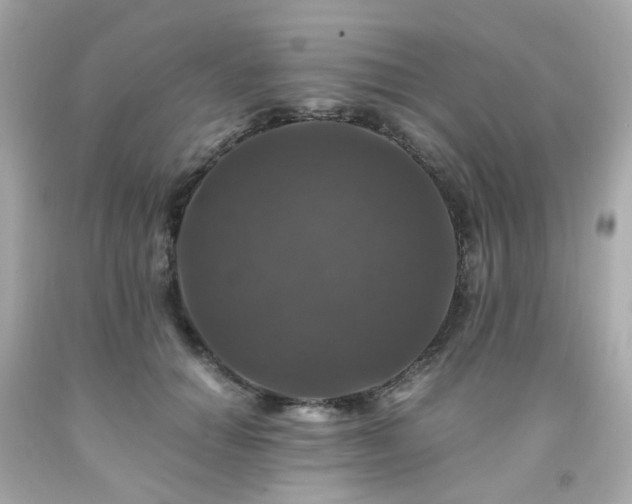 X0000091940654200709121620