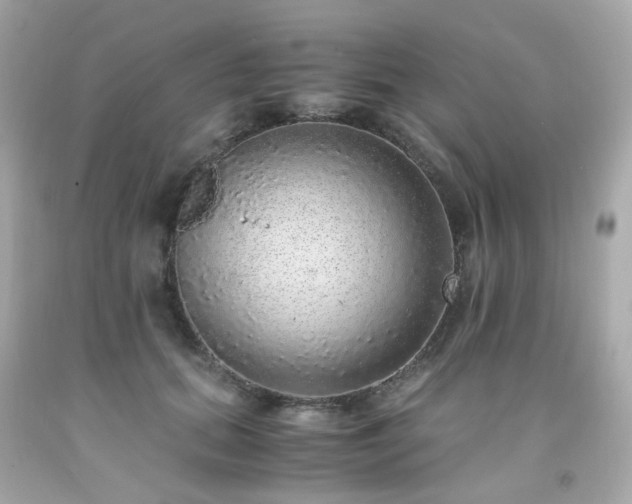 X0000091940655200709121620