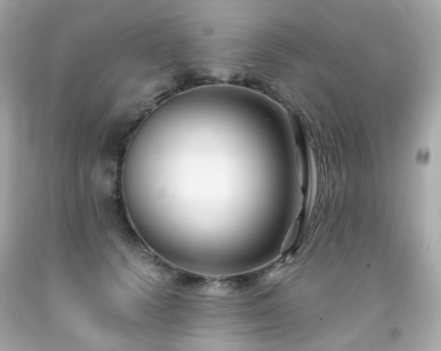 X0000091940656200709121620