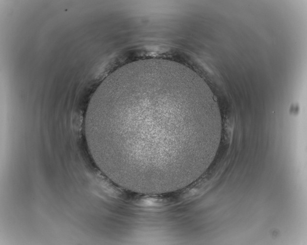 X0000091940657200709121620