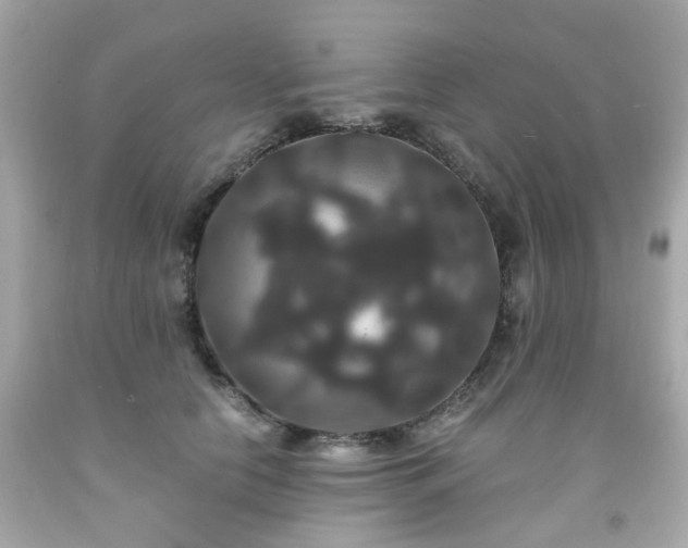 X0000091940658200709121620