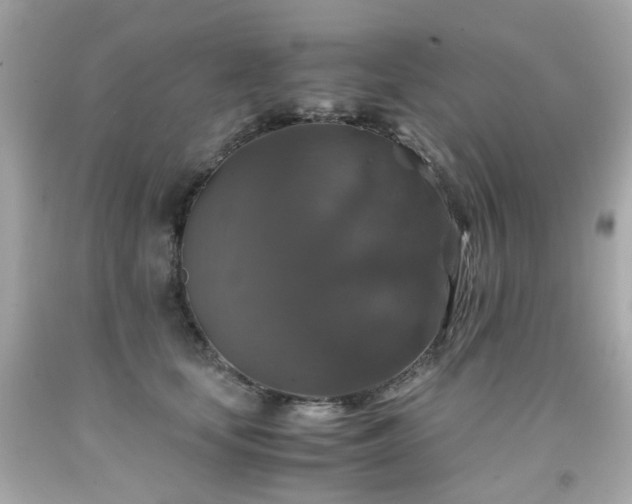 X0000091940659200709121620