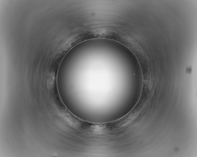 X0000091940660200709121620