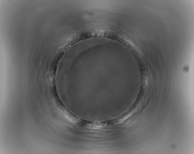 X0000091940661200709121620