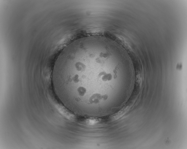 X0000091940662200709121620