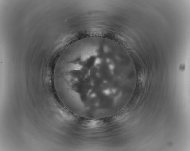 X0000091940663200709121620