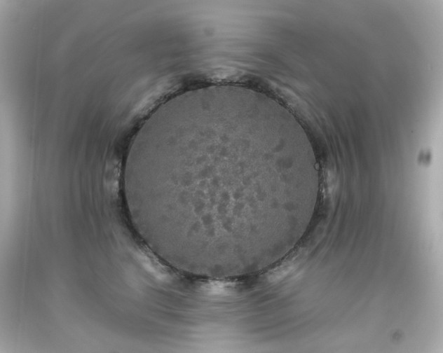 X0000091940664200709121620