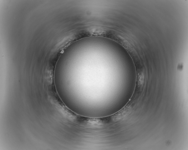 X0000091940666200709121620