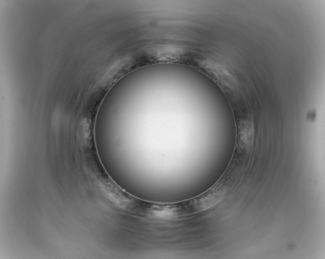 X0000091940667200709121620