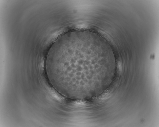 X0000091940668200709121620