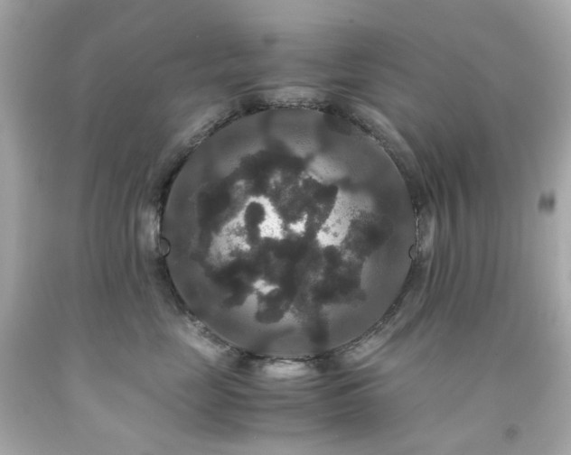 X0000091940669200709121620