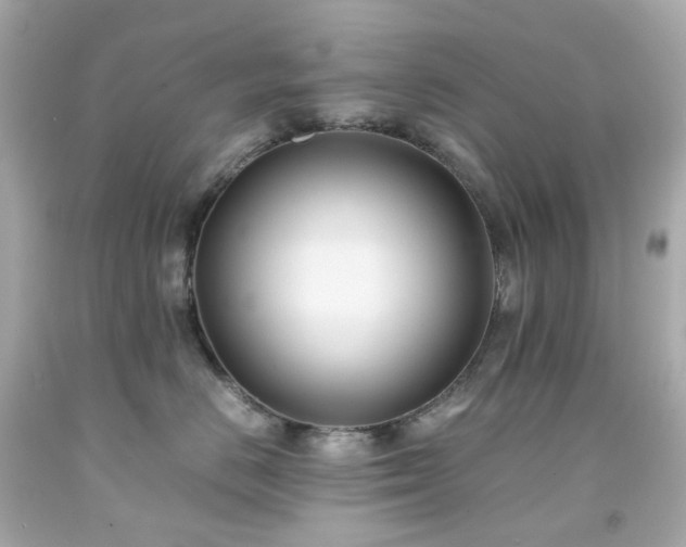 X0000091940670200709121620