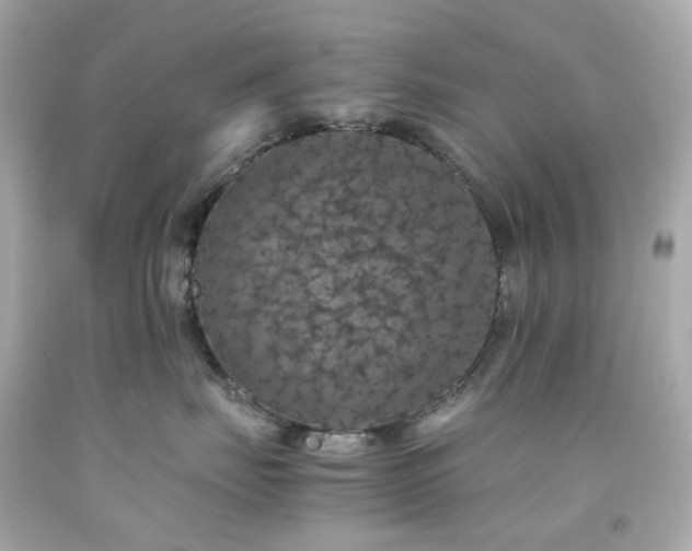 X0000091940671200709121620