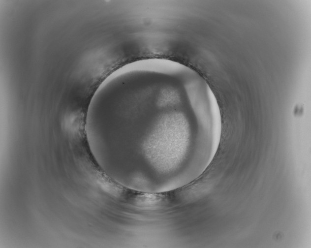 X0000091940672200709121620