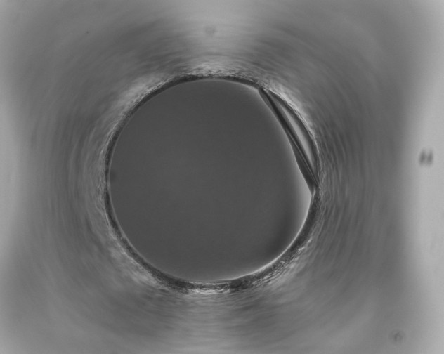 X0000091940673200709121619