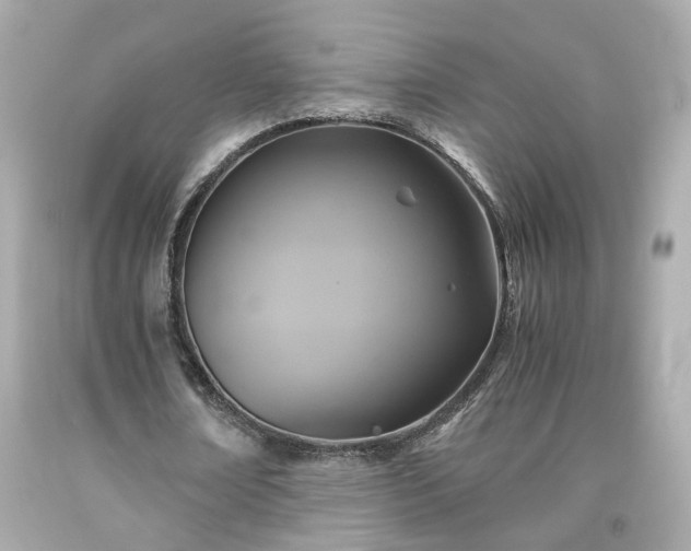 X0000091940674200709121619