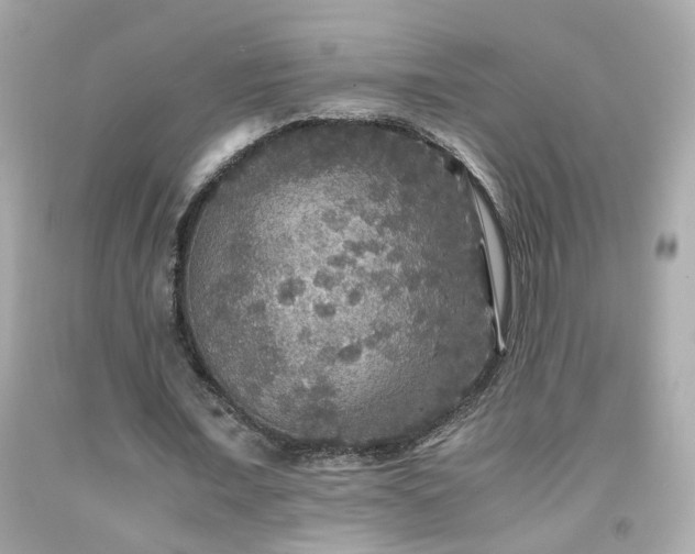 X0000091940675200709121619