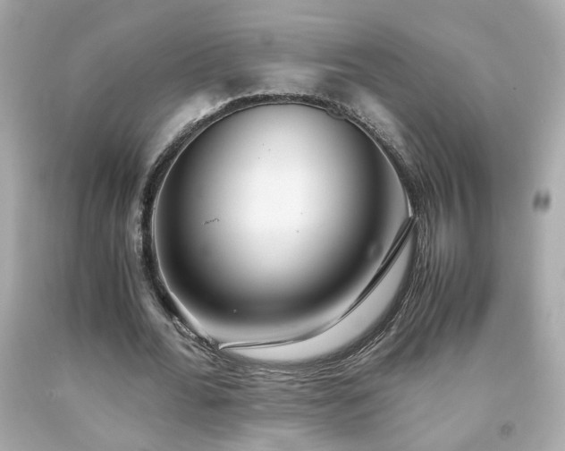 X0000091940676200709121619