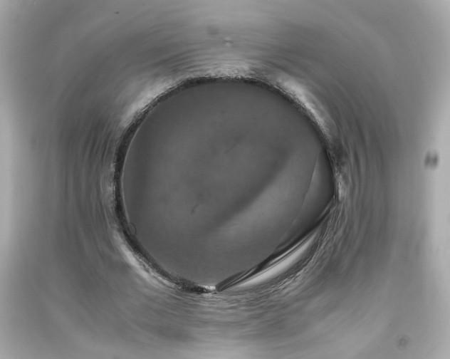 X0000091940677200709121619