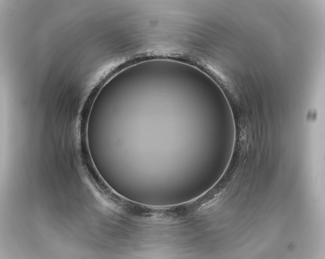 X0000091940678200709121619