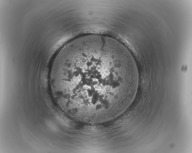 X0000091940679200709121619