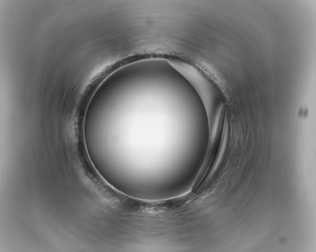 X0000091940680200709121619