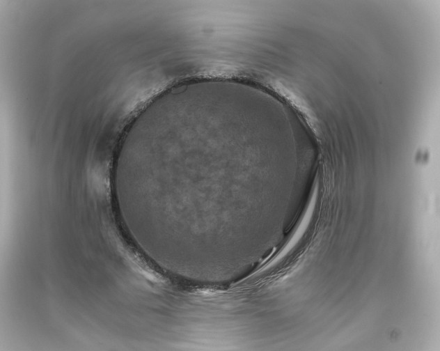 X0000091940681200709121619