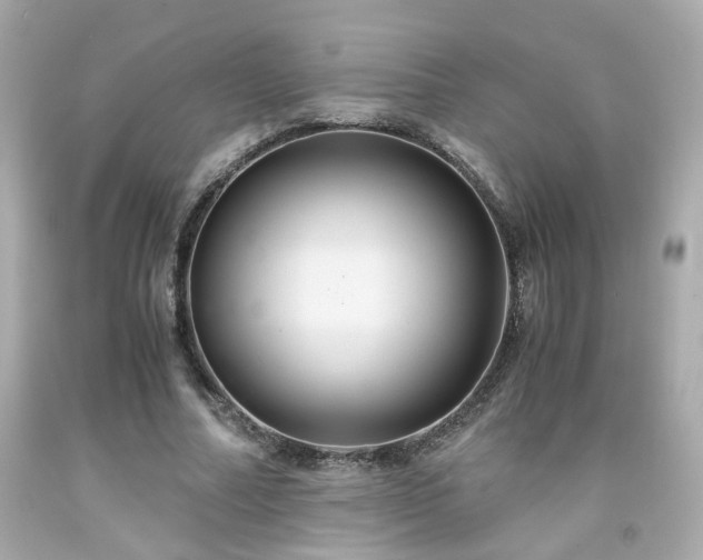 X0000091940682200709121619