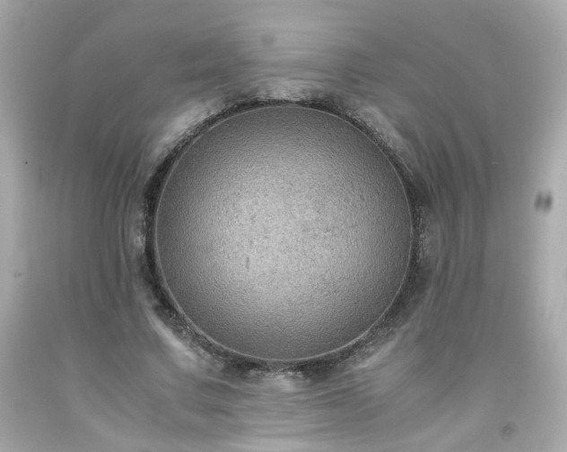 X0000091940683200709121619