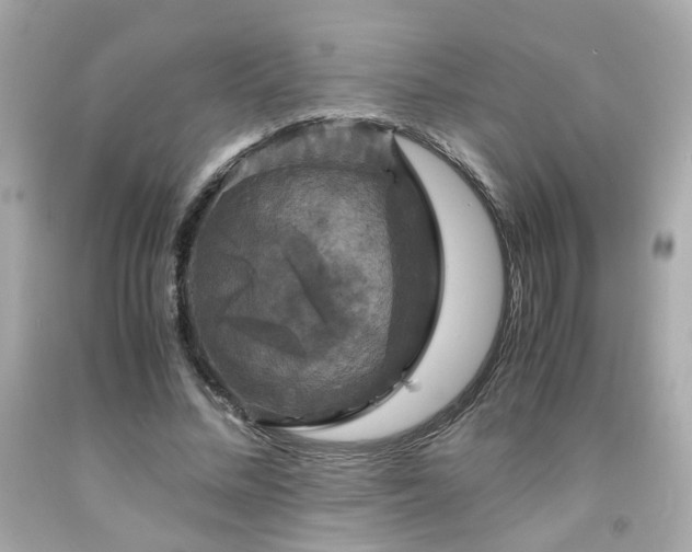 X0000091940684200709121619