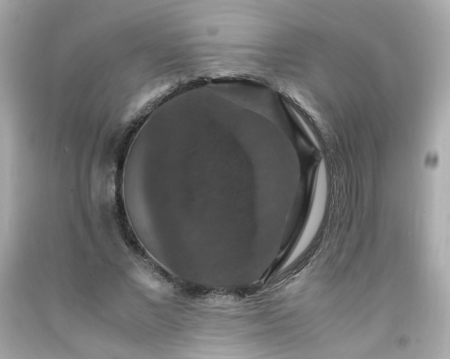 X0000091940685200709121619