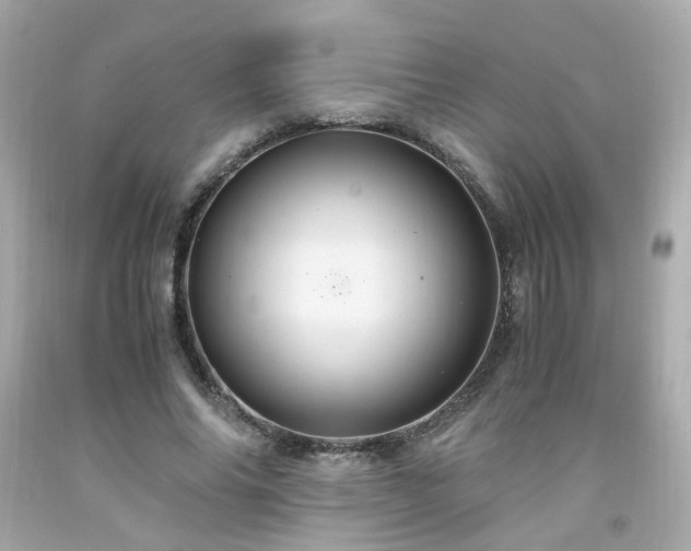 X0000091940686200709121619