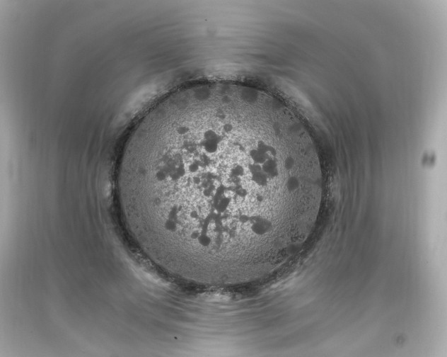 X0000091940687200709121619