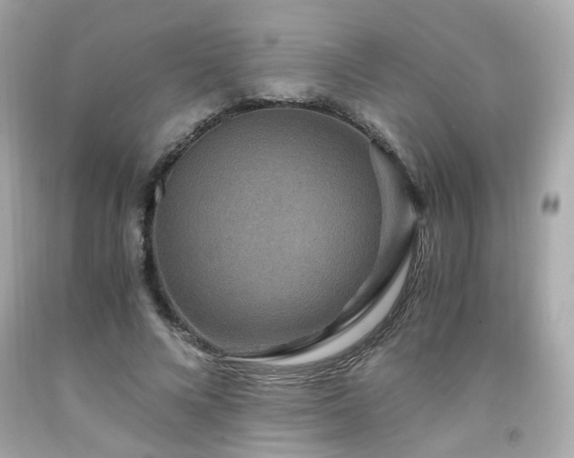 X0000091940688200709121619