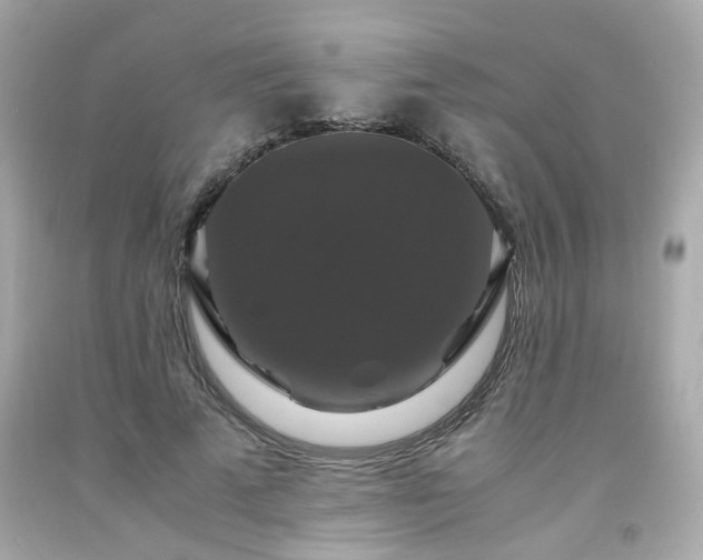 X0000091940689200709121619