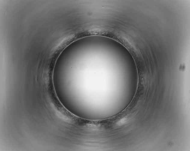 X0000091940690200709121619