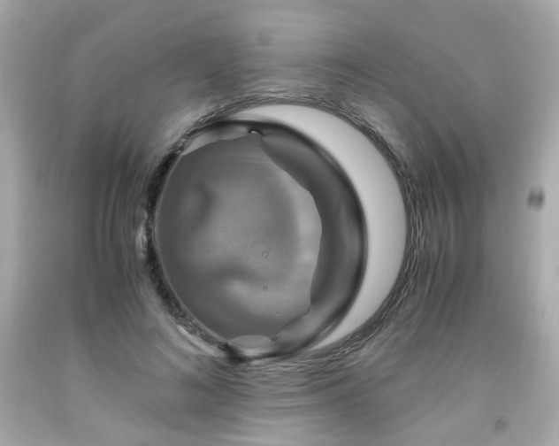 X0000091940692200709121619