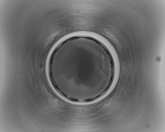 X0000091940693200709121619