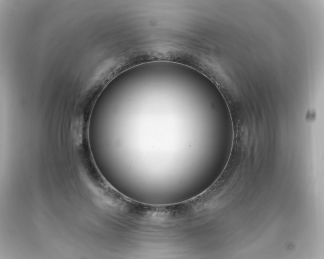 X0000091940694200709121619