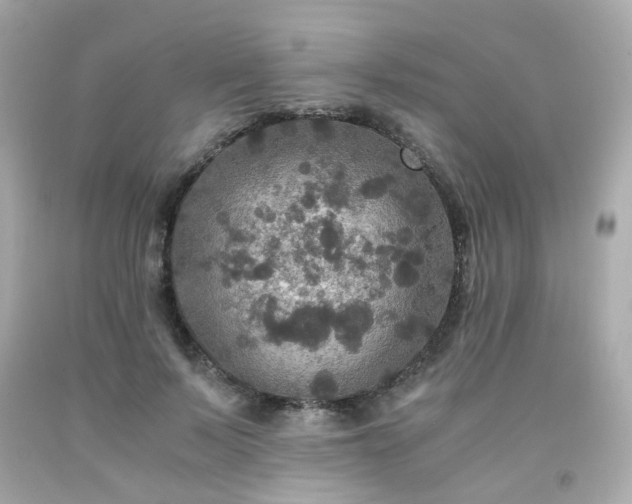 X0000091940695200709121619