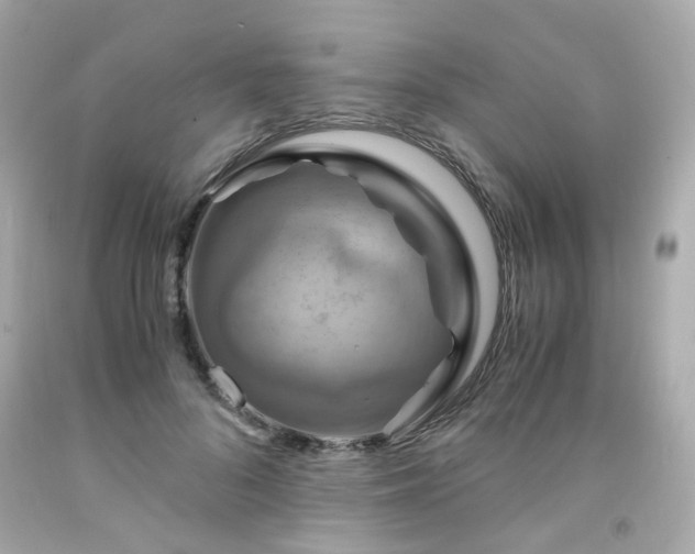 X0000091940696200709121619